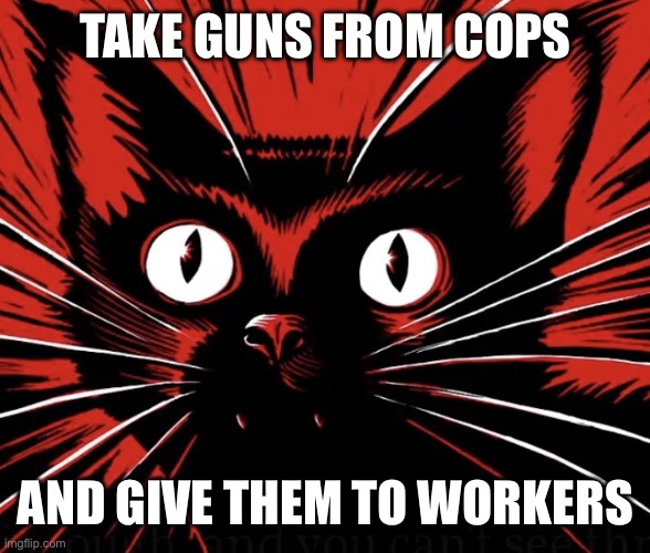 Sabo tabby cat | TAKE GUNS FROM COPS; AND GIVE THEM TO WORKERS | image tagged in sabo tabby cat | made w/ Imgflip meme maker