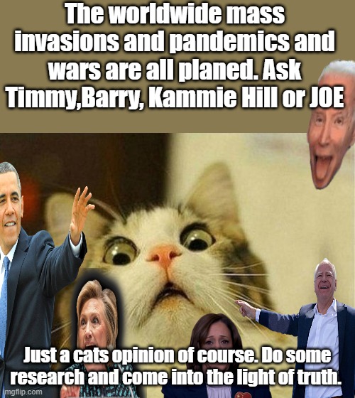 Even if they are  not planed,they are used to push NWO agendas | The worldwide mass invasions and pandemics and wars are all planed. Ask Timmy,Barry, Kammie Hill or JOE; Just a cats opinion of course. Do some research and come into the light of truth. | image tagged in memes,scared cat | made w/ Imgflip meme maker