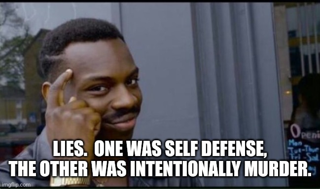 Thinking Black Man | LIES.  ONE WAS SELF DEFENSE, THE OTHER WAS INTENTIONALLY MURDER. | image tagged in thinking black man | made w/ Imgflip meme maker