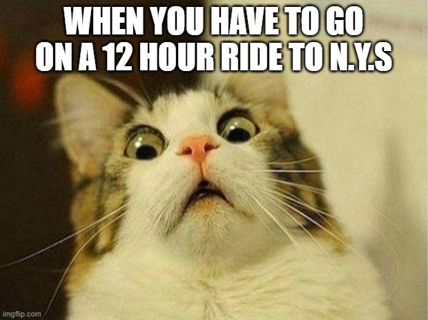 Scared Cat Meme | WHEN YOU HAVE TO GO ON A 12 HOUR RIDE TO N.Y.S | image tagged in memes,scared cat | made w/ Imgflip meme maker