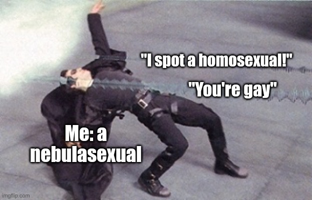 neo dodging a bullet matrix | "I spot a homosexual!" "You're gay" Me: a nebulasexual | image tagged in neo dodging a bullet matrix | made w/ Imgflip meme maker