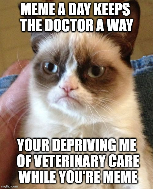 typo's; it's a thing of me | MEME A DAY KEEPS 
THE DOCTOR A WAY; YOUR DEPRIVING ME
 OF VETERINARY CARE
 WHILE YOU'RE MEME | image tagged in memes,grumpy cat | made w/ Imgflip meme maker