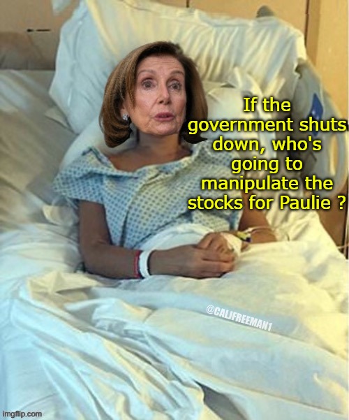 If the government shuts down, who's going to manipulate the stocks for Paulie ? | made w/ Imgflip meme maker