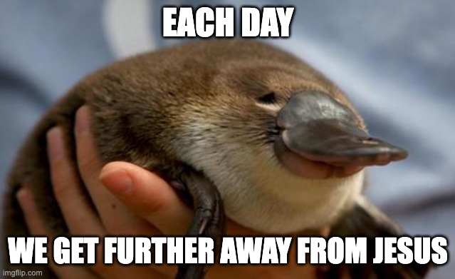 Smug Platypus | EACH DAY; WE GET FURTHER AWAY FROM JESUS | image tagged in smug platypus,memes,jesus,god,christianity,help | made w/ Imgflip meme maker