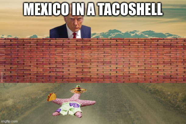 Basically Mexico | MEXICO IN A TACOSHELL | image tagged in offensive,dark humor | made w/ Imgflip meme maker