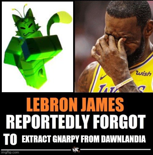 oh sh** gnarpy's stuck there | EXTRACT GNARPY FROM DAWNLANDIA | image tagged in lebron james reportedly forgot to,gnarpy,dawn,lebron james,msmg,memes | made w/ Imgflip meme maker