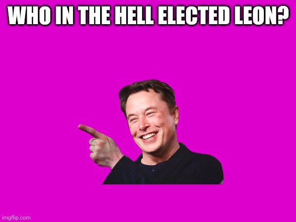 Elon Musk | WHO IN THE HELL ELECTED LEON? | image tagged in political meme | made w/ Imgflip meme maker