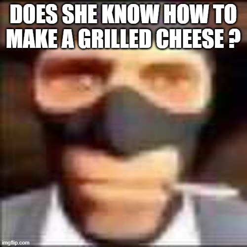 spi | DOES SHE KNOW HOW TO MAKE A GRILLED CHEESE ? | image tagged in spi | made w/ Imgflip meme maker