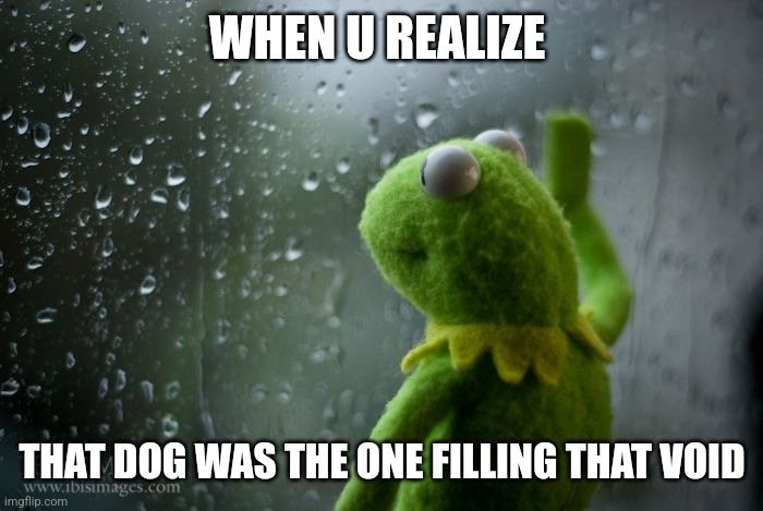 Zip | WHEN U REALIZE; THAT DOG WAS THE ONE FILLING THAT VOID | image tagged in kermit window | made w/ Imgflip meme maker