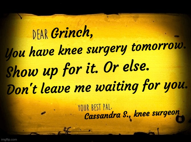 Haha knee surgery Bendy letter go brrr | Grinch, You have knee surgery tomorrow. Show up for it. Or else. Don't leave me waiting for you. Cassandra S., knee surgeon | image tagged in a bendy letter | made w/ Imgflip meme maker