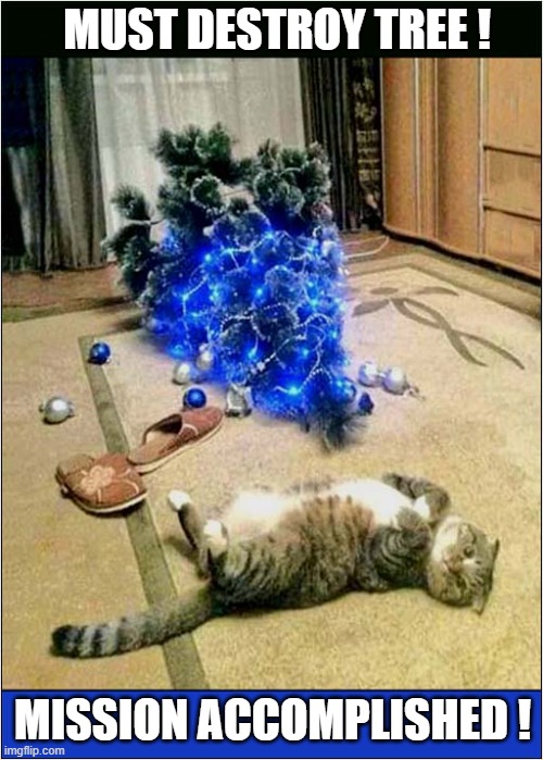 A Christmas Tradition | MUST DESTROY TREE ! MISSION ACCOMPLISHED ! | image tagged in cats,christmas tree,destroy,mission accomplished | made w/ Imgflip meme maker