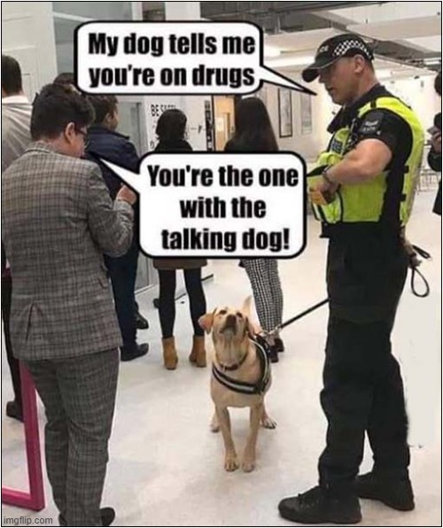 Now That's A Talented Drugs Dog ! | image tagged in dogs,drugs,talent,talking | made w/ Imgflip meme maker