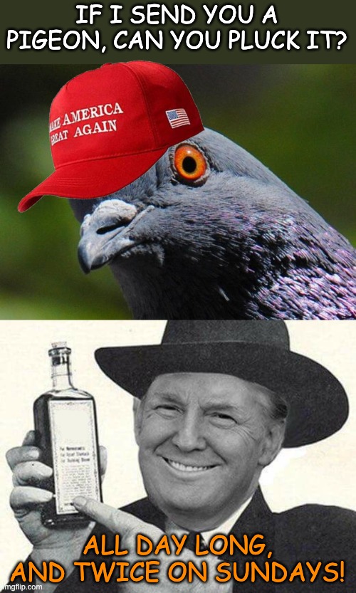 IF I SEND YOU A PIGEON, CAN YOU PLUCK IT? ALL DAY LONG, AND TWICE ON SUNDAYS! | image tagged in pigeon,mr trump salesman | made w/ Imgflip meme maker