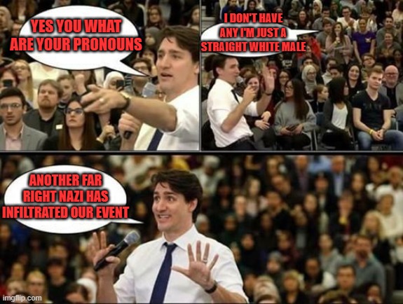 Trudeau logic | I DON'T HAVE ANY I'M JUST A STRAIGHT WHITE MALE; YES YOU WHAT ARE YOUR PRONOUNS; ANOTHER FAR RIGHT NAZI HAS INFILTRATED OUR EVENT | image tagged in justin trudeau sjw,pronouns,justin trudeau crying,meanwhile in canada | made w/ Imgflip meme maker