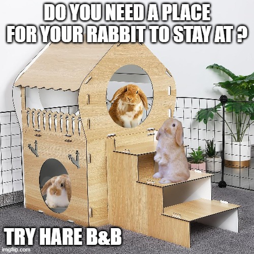 memes by Brad - Do you need a place for your rabbit to stay? Try Hare B&B. | DO YOU NEED A PLACE FOR YOUR RABBIT TO STAY AT ? TRY HARE B&B | image tagged in funny,fun,rabbits,funny meme,humor,play on words | made w/ Imgflip meme maker