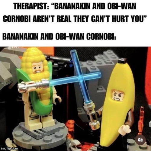 Bananakin also being a legit mod for SWB | made w/ Imgflip meme maker
