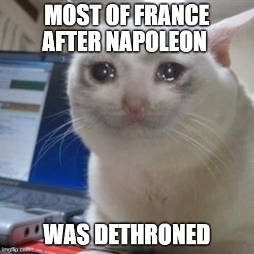 Crying cat | MOST OF FRANCE AFTER NAPOLEON WAS DETHRONED | image tagged in crying cat | made w/ Imgflip meme maker