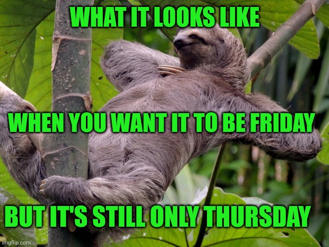 Not Friday! | WHAT IT LOOKS LIKE; WHEN YOU WANT IT TO BE FRIDAY; BUT IT'S STILL ONLY THURSDAY | image tagged in lazy sloth | made w/ Imgflip meme maker