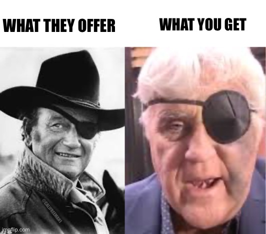 The Government… | WHAT YOU GET; WHAT THEY OFFER; @CALJFREEMAN1 | image tagged in john wayne,snl,government corruption,government,maga,donald trump | made w/ Imgflip meme maker