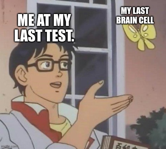 Test | MY LAST BRAIN CELL; ME AT MY LAST TEST. | image tagged in test | made w/ Imgflip meme maker