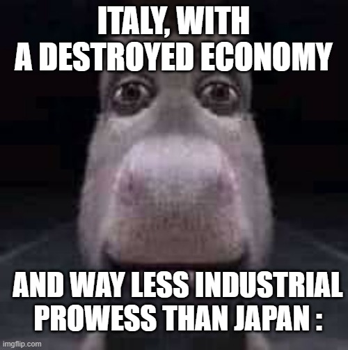 Donkey staring | ITALY, WITH A DESTROYED ECONOMY AND WAY LESS INDUSTRIAL PROWESS THAN JAPAN : | image tagged in donkey staring | made w/ Imgflip meme maker