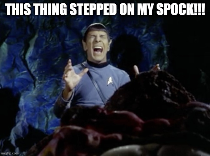 Horny Horta | THIS THING STEPPED ON MY SPOCK!!! | image tagged in spock scream | made w/ Imgflip meme maker