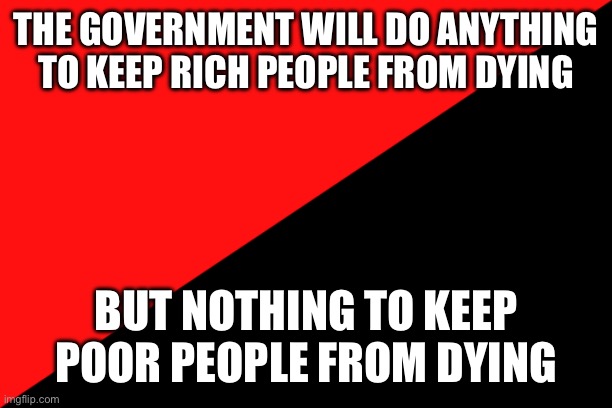 Ancom flag | THE GOVERNMENT WILL DO ANYTHING TO KEEP RICH PEOPLE FROM DYING; BUT NOTHING TO KEEP POOR PEOPLE FROM DYING | image tagged in ancom flag | made w/ Imgflip meme maker