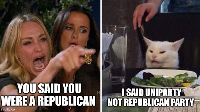 Angry lady cat | YOU SAID YOU WERE A REPUBLICAN; I SAID UNIPARTY NOT REPUBLICAN PARTY | image tagged in angry lady cat | made w/ Imgflip meme maker