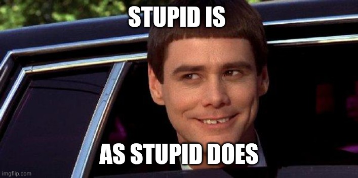 Stupid | STUPID IS; AS STUPID DOES | image tagged in dumb and dumber,funny memes | made w/ Imgflip meme maker