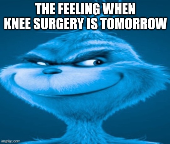 knee surgery | THE FEELING WHEN KNEE SURGERY IS TOMORROW | image tagged in knee surgery | made w/ Imgflip meme maker