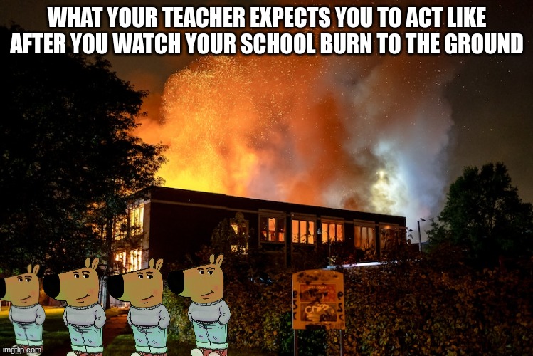 WHAT YOUR TEACHER EXPECTS YOU TO ACT LIKE AFTER YOU WATCH YOUR SCHOOL BURN TO THE GROUND | image tagged in chill guy | made w/ Imgflip meme maker