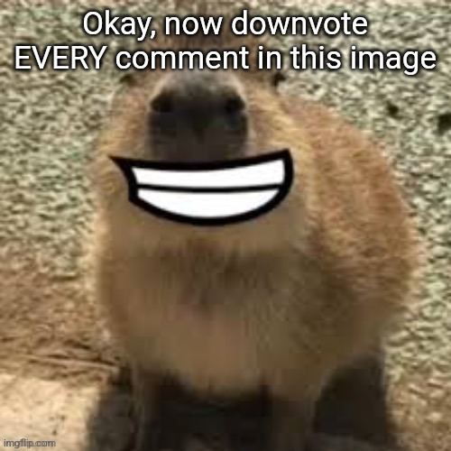 goofy ass capybara | Okay, now downvote EVERY comment in this image | image tagged in goofy ass capybara | made w/ Imgflip meme maker