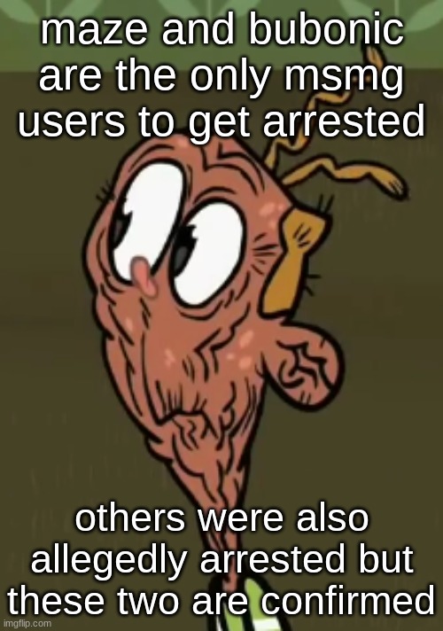two shoes wild | maze and bubonic are the only msmg users to get arrested; others were also allegedly arrested but these two are confirmed | image tagged in two shoes wild | made w/ Imgflip meme maker