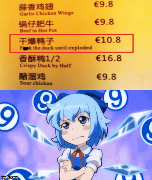 Que? | image tagged in confused cirno,duck,menu,engrish,hold up wait a minute something aint right,what in the hot crispy kentucky fried frick | made w/ Imgflip meme maker