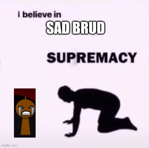 sad brud | SAD BRUD | image tagged in i believe in supremacy | made w/ Imgflip meme maker