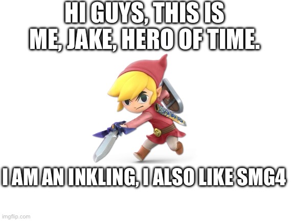 Info | HI GUYS, THIS IS ME, JAKE, HERO OF TIME. I AM AN INKLING, I ALSO LIKE SMG4 | image tagged in blank white template | made w/ Imgflip meme maker