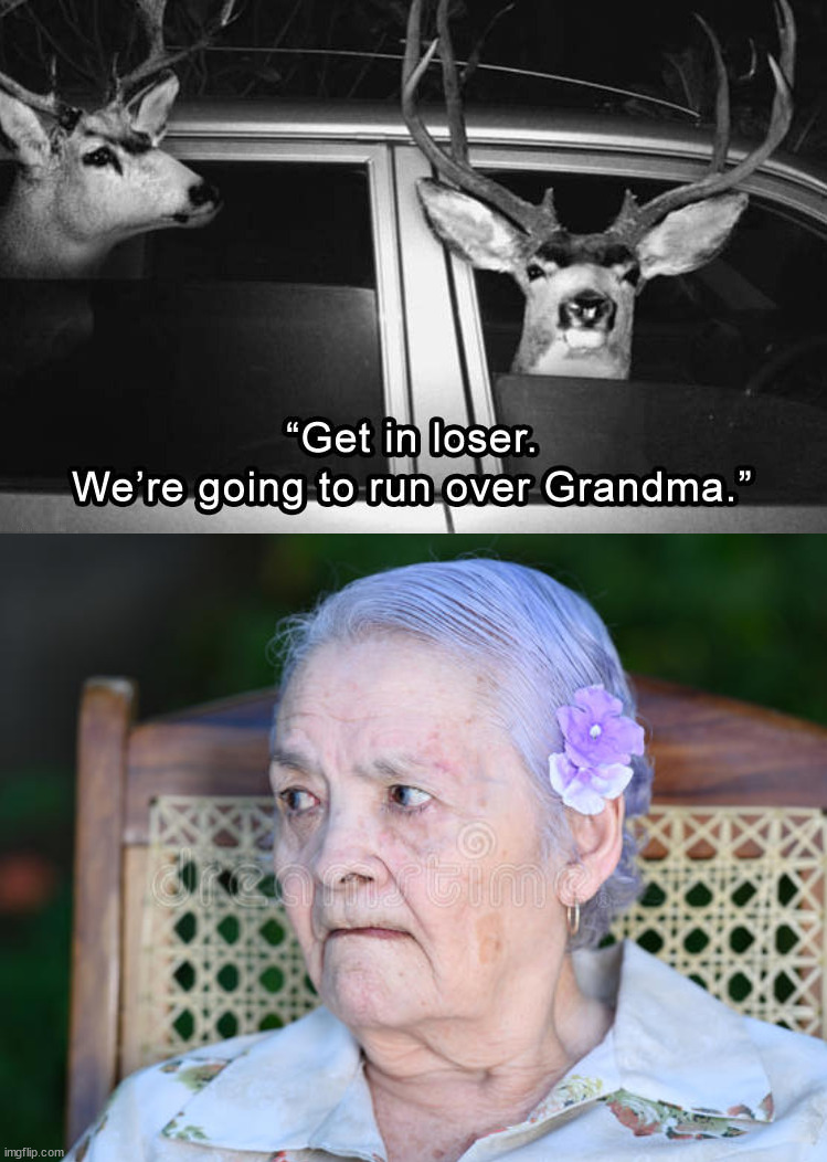 Got run over by a reindeer | image tagged in scared grandma | made w/ Imgflip meme maker