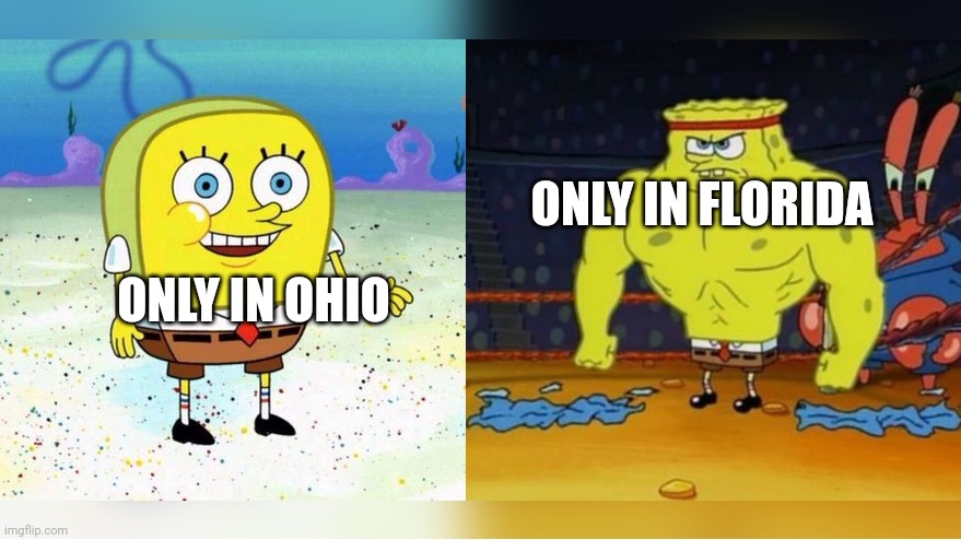 Florida is the weird one not ohio | ONLY IN FLORIDA; ONLY IN OHIO | image tagged in increasingly buff spongebob | made w/ Imgflip meme maker