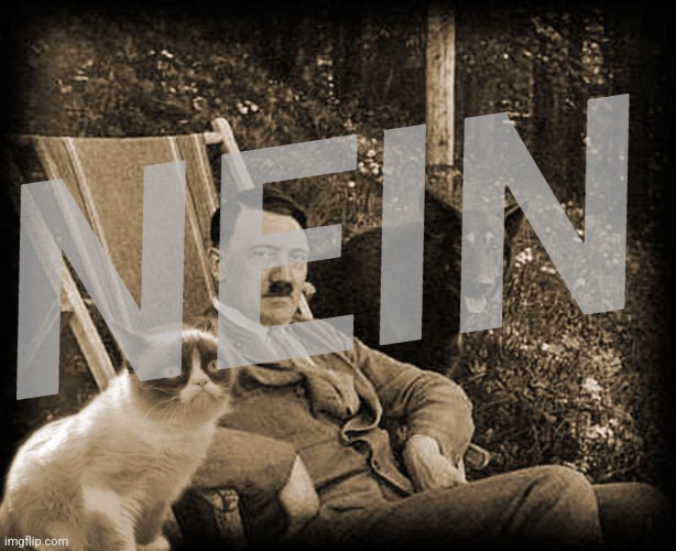 NEIN | image tagged in grumpy cat with hitler | made w/ Imgflip meme maker