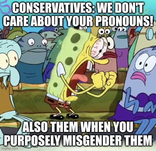 conservatives get mad easily | CONSERVATIVES: WE DON'T CARE ABOUT YOUR PRONOUNS! ALSO THEM WHEN YOU PURPOSELY MISGENDER THEM | image tagged in spongebob yelling,pronouns,angry conservatives,conservatives | made w/ Imgflip meme maker