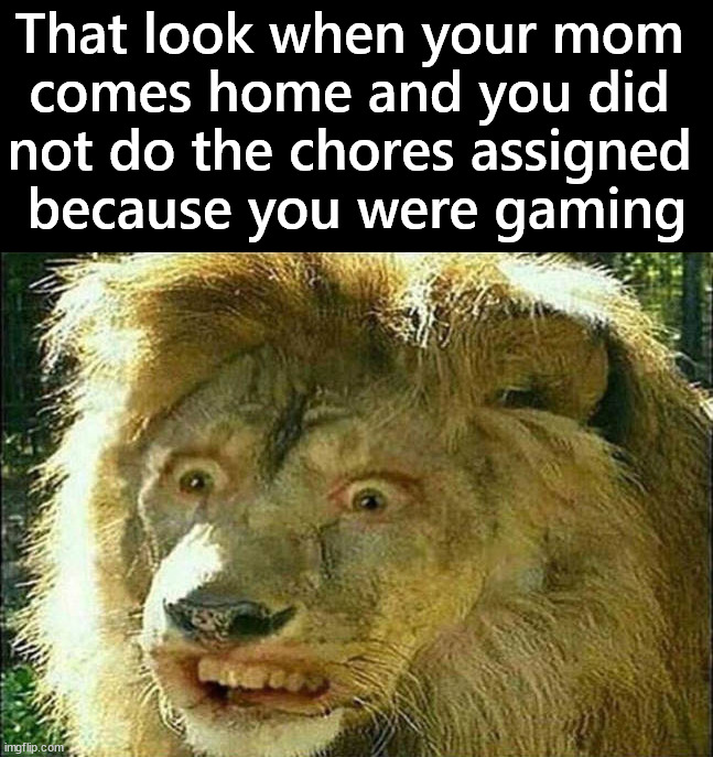 When you said you will do it but start a game instead | That look when your mom 
comes home and you did 
not do the chores assigned 
because you were gaming | image tagged in gaming,chores,i think i forgot something | made w/ Imgflip meme maker