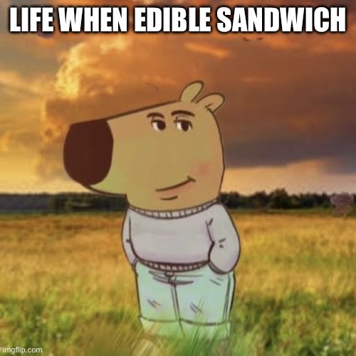 sandwich | LIFE WHEN EDIBLE SANDWICH | image tagged in chill guy | made w/ Imgflip meme maker