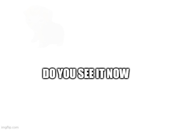 Do you see it now tho | DO YOU SEE IT NOW | image tagged in blank white template | made w/ Imgflip meme maker