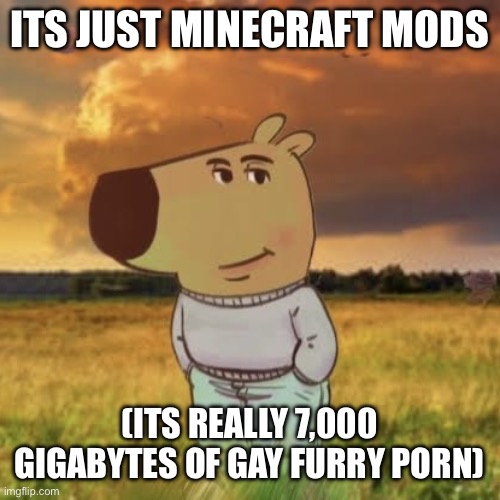 Chill guy | ITS JUST MINECRAFT MODS (ITS REALLY 7,000 GIGABYTES OF GAY FURRY PORN) | image tagged in chill guy | made w/ Imgflip meme maker