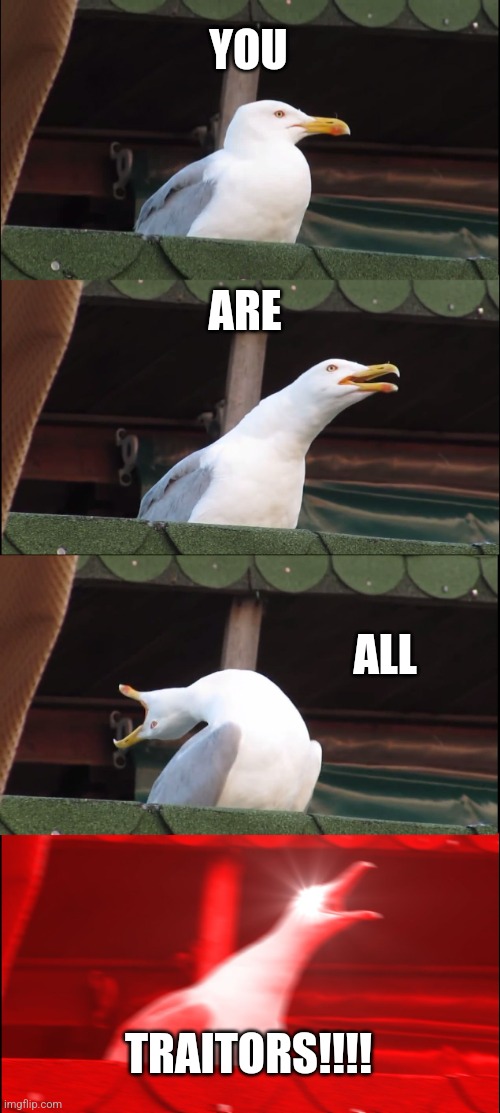 Inhaling Seagull Meme | YOU; ARE; ALL; TRAITORS!!!! | image tagged in memes,inhaling seagull | made w/ Imgflip meme maker