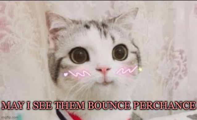 Yes | MAY I SEE THEM BOUNCE PERCHANCE | image tagged in cute cat uwu | made w/ Imgflip meme maker