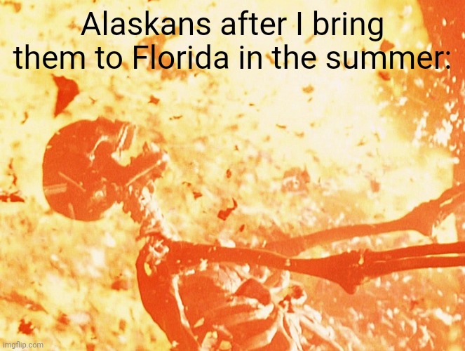 it's 85 degrees today! Alaskans: HELP ME IM BURNING | Alaskans after I bring them to Florida in the summer: | image tagged in fire skeleton | made w/ Imgflip meme maker