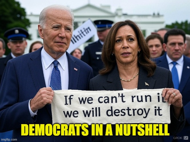 Their obvious thought process | DEMOCRATS IN A NUTSHELL | image tagged in fjb,kamala harris,potus,government corruption,maga,joe biden | made w/ Imgflip meme maker