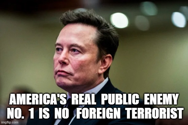 Public Enemy No. 1 | AMERICA'S  REAL  PUBLIC  ENEMY  NO.  1  IS  NO   FOREIGN  TERRORIST | image tagged in elon musk | made w/ Imgflip meme maker