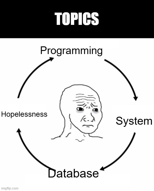 topics | TOPICS; Programming; Hopelessness; System; Database | image tagged in sad wojak cycle | made w/ Imgflip meme maker